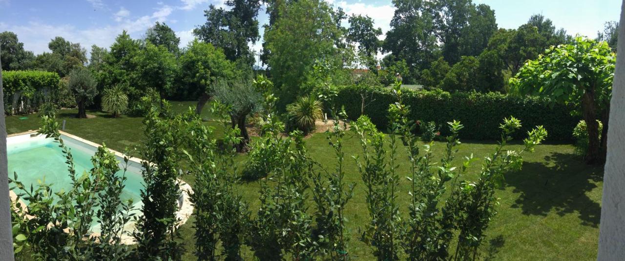 Villa Louise-Rose Villeneuve-Loubet Exteriér fotografie